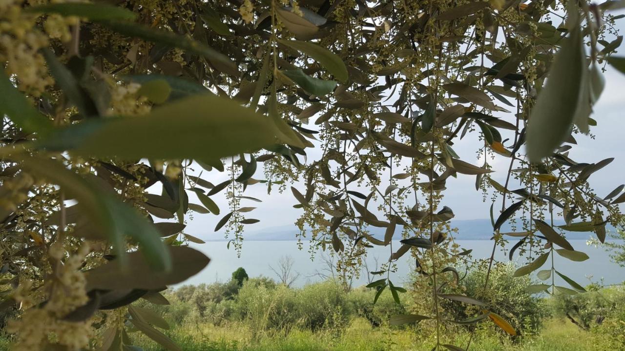 Hotel La Torre Castiglione del Lago Kültér fotó